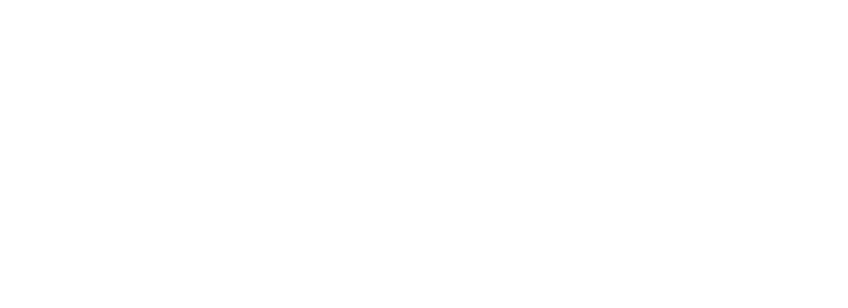 Fidelis Machines